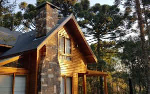 Araucária ganha protagonismo em projetos arquitetônicos