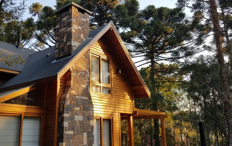 Araucária ganha protagonismo em projetos arquitetônicos