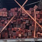 Balsas: carga de madeira nativa transportada irregularmente é apreendida pela