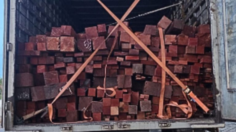 Balsas: carga de madeira nativa transportada irregularmente é apreendida pela