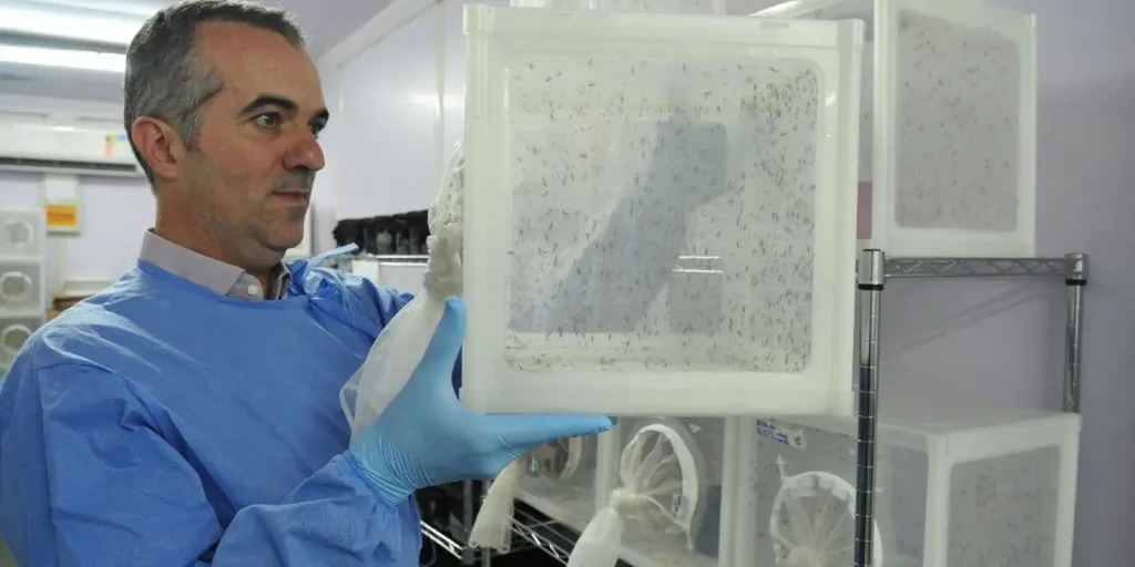 Brasileiro criador do "Aedes" que bloqueia dengue é eleito pela