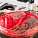 Brasileiros descobrem enzima que fortalece antibióticos contra superbactérias