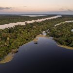 Câmara aprova MP que reestrutura licenciamento ambiental; texto vai ao