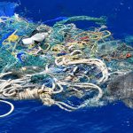 Conheça 8 ameaças que prejudicam os oceanos