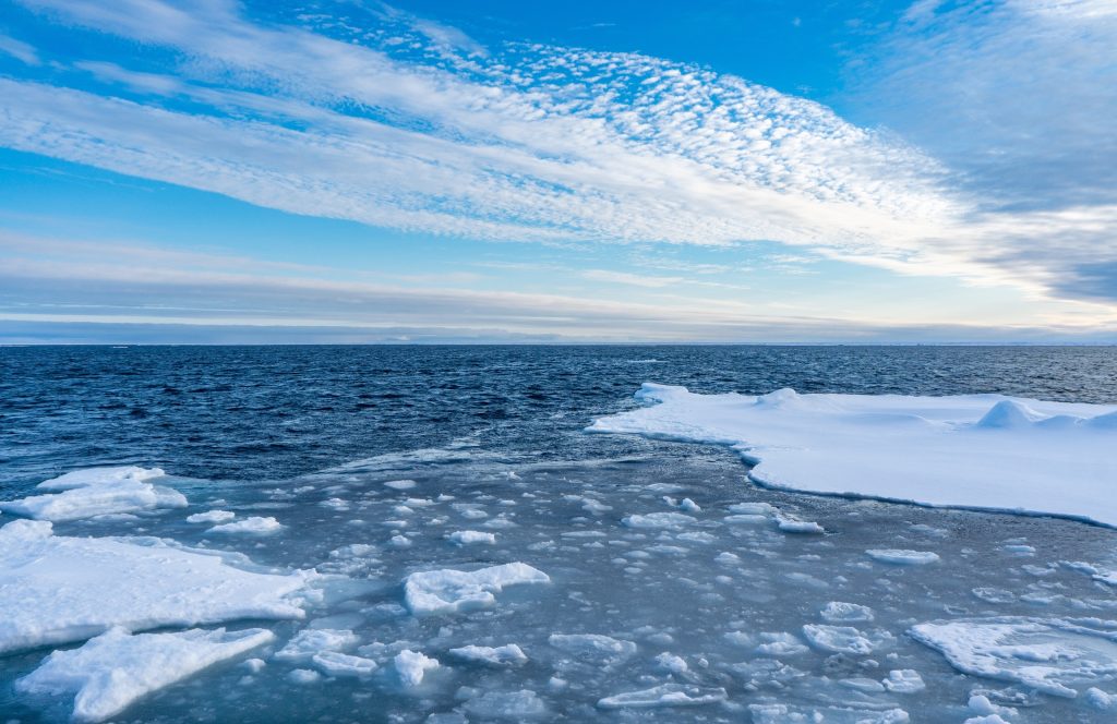 Conheça a “vida estranha” que mora nas profundezas do Ártico