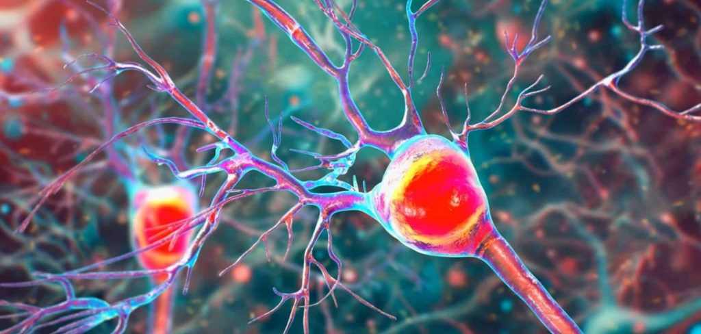 Desvendado o cérebro: tecnologia escuta Comunicações neurais