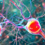 Desvendado o cérebro: tecnologia escuta Comunicações neurais