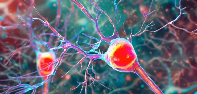 Desvendado o cérebro: tecnologia escuta Comunicações neurais