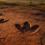 Dinossauros na Amazônia? Pegadas podem reescrever a pré-história da região