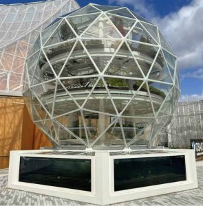 Ecossistema urbano em Osaka mostra agricultura sustentável