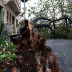 Em Embu-Guaçu, em SP, apagão deixa 61% dos moradores sem