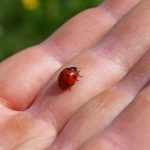 Estudo alerta para deterioração da relação humana com a natureza