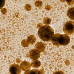 Estudo brasileiro destaca usos médicos e ambientais de nanopartículas