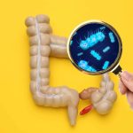 Estudo global revela quais bactérias intestinais mais influenciam a saúde