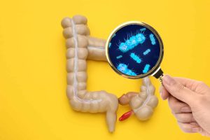 Estudo global revela quais bactérias intestinais mais influenciam a saúde