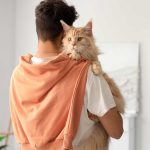 Gatos miam mais para tutores homens, aponta novo estudo
