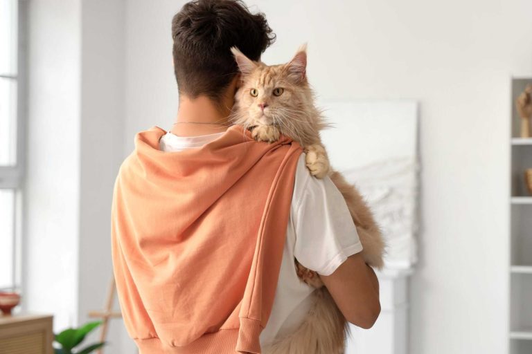 Gatos miam mais para tutores homens, aponta novo estudo