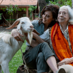 Globo abre a carteira e contrata atrizes indicadas ao Oscar