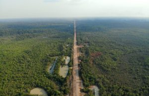 Governo usa nova lei ambiental para asfaltar BR-319 na Amazônia