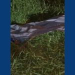 Homem é morto a golpes de facão após discussão em