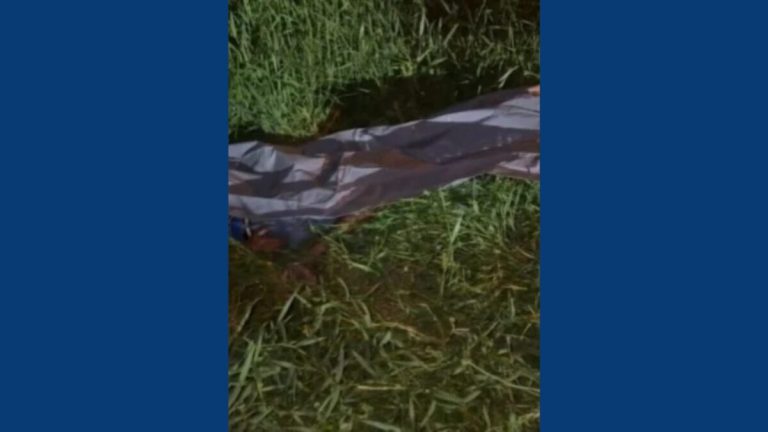 Homem é morto a golpes de facão após discussão em