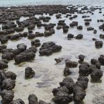 IA detecta sinais antigos de vida em rochas da Terra