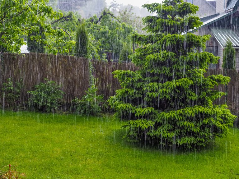 Inmet emite alerta para forte chuva em 14 estados