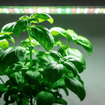 Lâmpadas inteligentes que simulam o sol e salvam plantas de