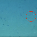 Lula é flagrada usando camuflagem inédita a 4.100 metros de