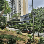 Mais de 2 milhões de casas estão sem luz após