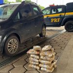 Mais de 23 kg de skunk são aprendidos na BR-226;