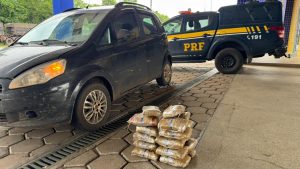 Mais de 23 kg de skunk são aprendidos na BR-226;