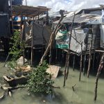 Maranhão tem mais de 500 mil moradores vivendo em favelas,