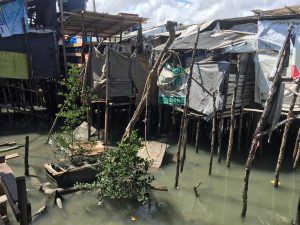 Maranhão tem mais de 500 mil moradores vivendo em favelas,