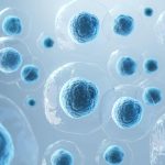 Novas ferramentas revelam detalhes sobre a comunicação entre células