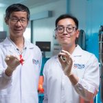 Novo chocolate? Cacau alternativo atinge nível próximo de sabor