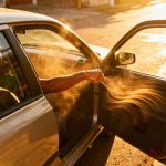 O truque japonês para esfriar o carro sem ligar o