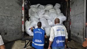 Operação Malha Fina apreende 11,8 t de produtos falsificados no