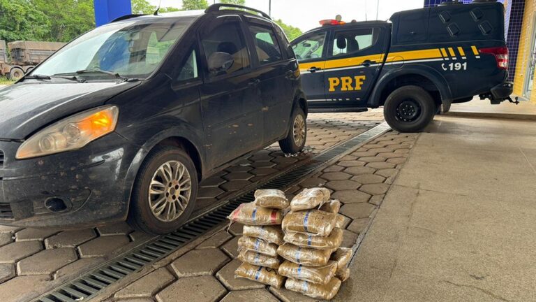 PRF apreende mais de 23 kg de “skunk” na BR-226,