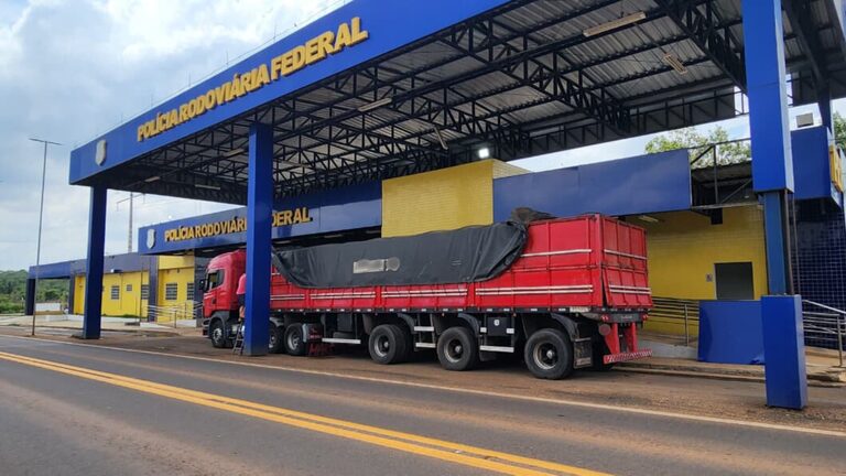 PRF intensifica combate à crimes ambientais nas rodovias do Maranhão