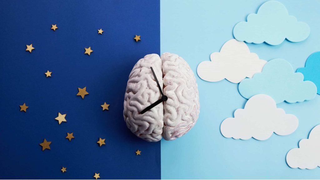 Por que algumas pessoas acordam antes do despertador? Entenda o