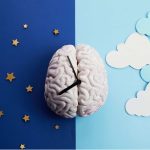 Por que algumas pessoas acordam antes do despertador? Entenda o