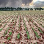 RS se recupera das enchentes e puxa crescimento do PIB