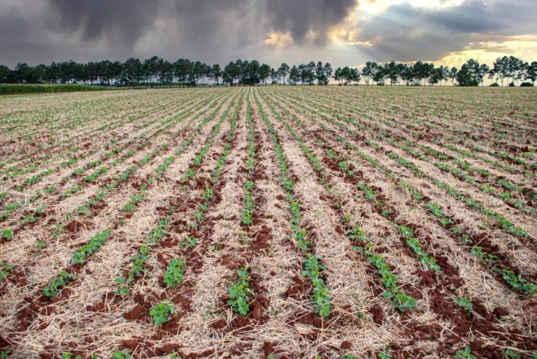 RS se recupera das enchentes e puxa crescimento do PIB