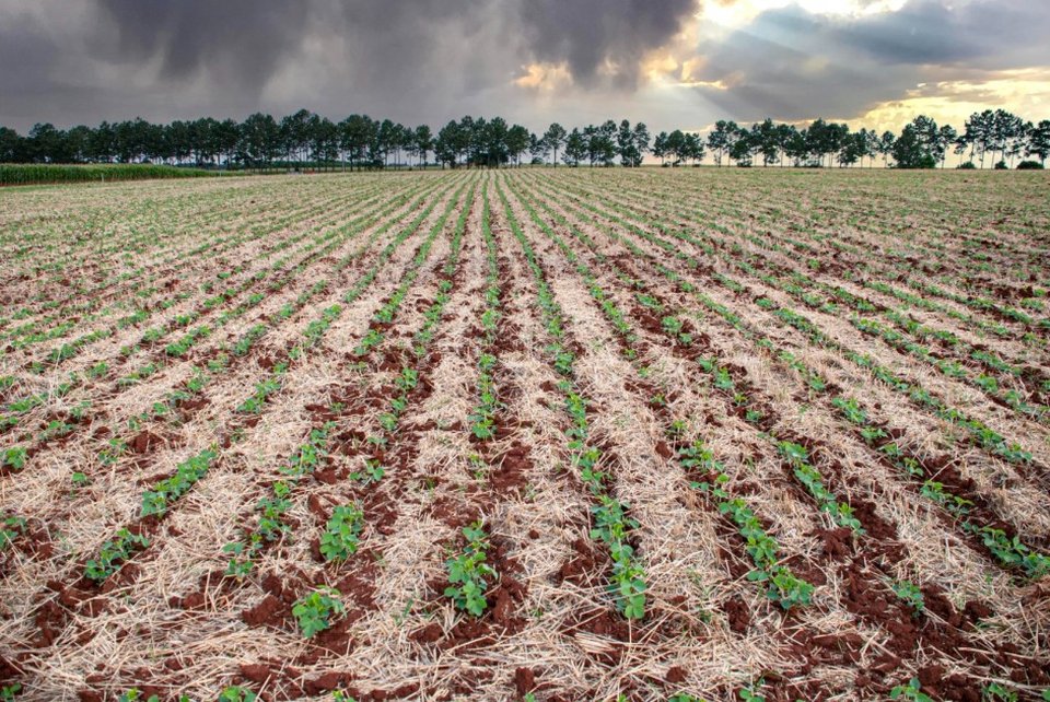 RS se recupera das enchentes e puxa crescimento do PIB