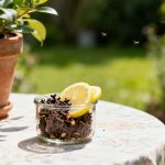 Repelente natural com cravo e limão afasta mosquitos e ainda