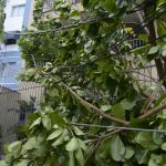 Rio registra fortes ventos devido à passagem de frente fria