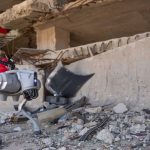 Robô-cão com IA combina visão, memória e tomada de decisão