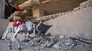 Robô-cão com IA combina visão, memória e tomada de decisão