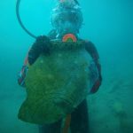Rota da Seda: cidade submersa é encontrada sob lago no